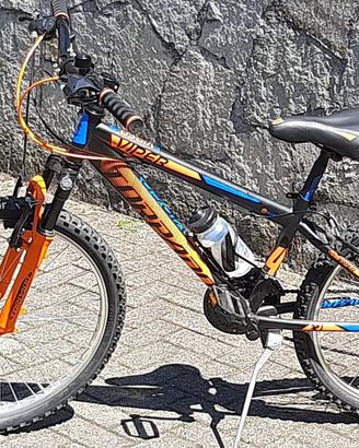 Bicicletta Mountain bike