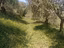 Immagine 22