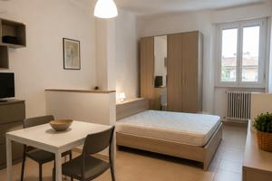 Monolocale zona irnerio BO