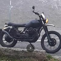 Moto Guzzi v35 scrambler 1984