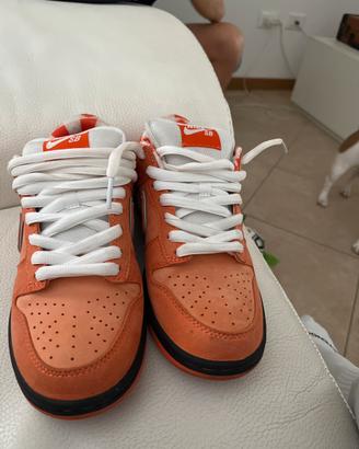 Nike dunk SB low Orange