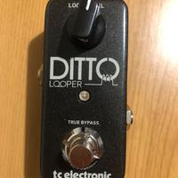 Looper ditto