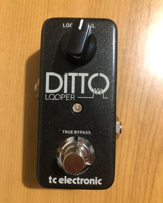 Looper ditto