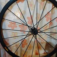 cerchi mavic r-sys slr 