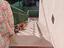 Immagine 4