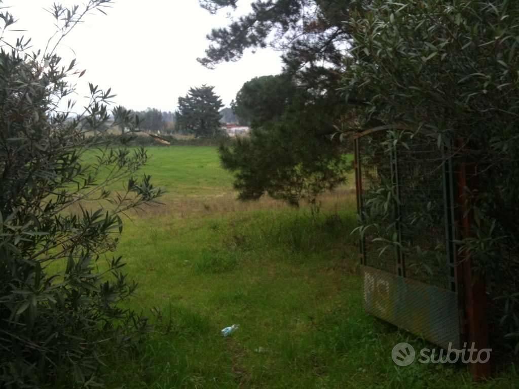 Terreno di 3500 m² a Cellole - Altro