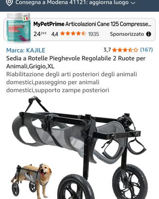 carrellino per cane disabile