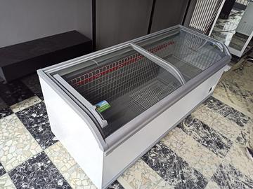 Congelatore professionale CON TRASPORTO