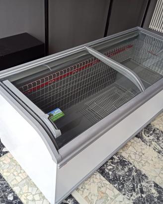 Congelatore professionale CON TRASPORTO