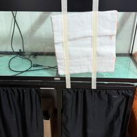 Acquario rio juwel 250