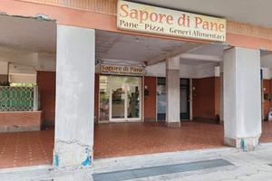 Attivita commerciale