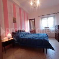 Terratetto Ateleta [3225VRG]