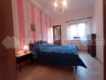 Terratetto Ateleta [3225VRG]