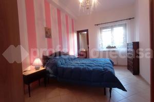 Terratetto Ateleta [3225VRG]