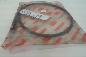 TUBO FRENO ANTERIORE Scarabeo APRILIA AP8113696