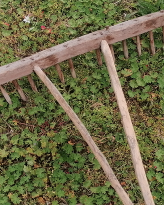 Rastrello in legno x fieno primi'900 fatto a mano