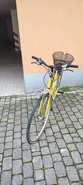 bicicletta donna
