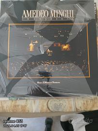 disco 33 giri Amedeo Minghi