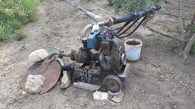 Motopompa lombardini 14cv e pompa a 2 giranti