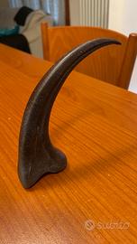 Artiglio velociraptor - rioroduzione  in resina