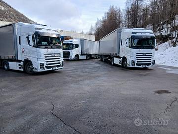 capacità professionale 