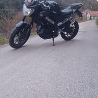 Mt125