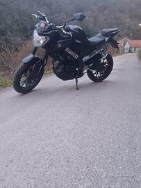 Mt125