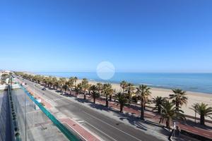 3 LOCALI A TORTORETO