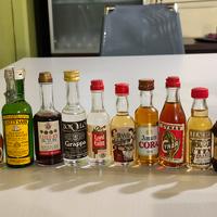   17 bottigliette mini di liquore.