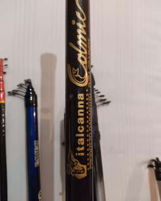 Varie canne da pasce