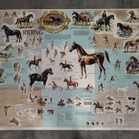 Manifesto vintage Cavalli 