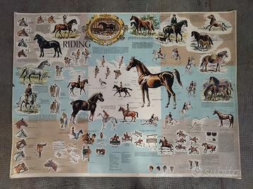 Manifesto vintage Cavalli 