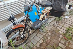 piaggio ciao e grillo