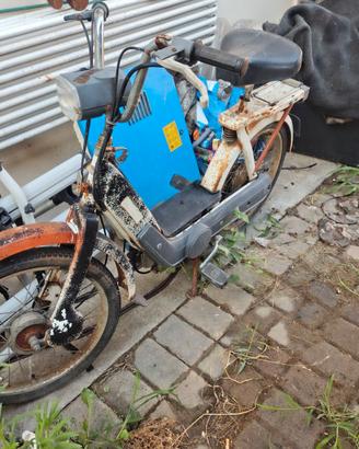 piaggio ciao e grillo