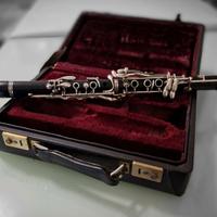Clarinetto Sib Buffet