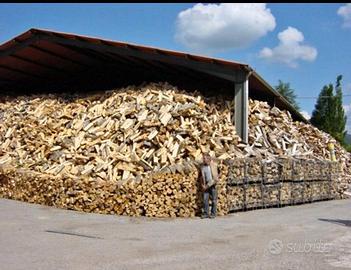 legna da ardere secca 