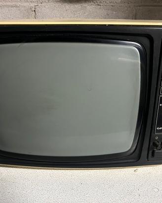 Televisore Grunding Triumph 1220 IT per Collezioni