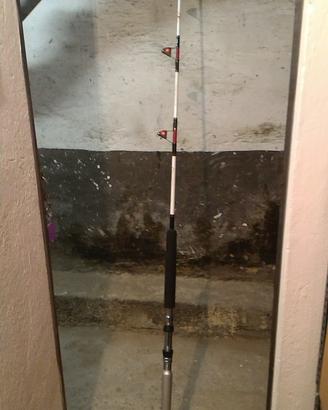 Canna da pesca da traina