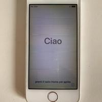 iPhone 5s Argento 16gb