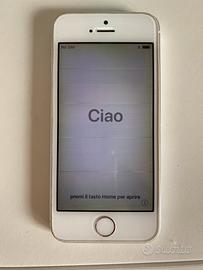 iPhone 5s Argento 16gb