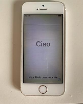 iPhone 5s Argento 16gb