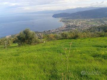 Rudere con terreno