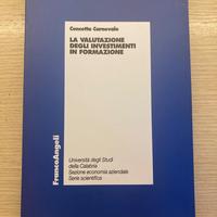 La valutazione degli investimenti in formazione