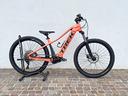bici-elettrica-mtb-elettrica