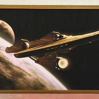 Tela con cornice in legno cm 90x60 - Star Trek