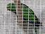Immagine 5