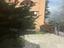 Immagine 6