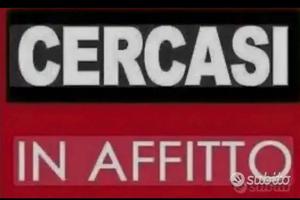 Camera o appartamento