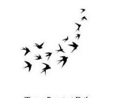 TERRENO PER ORTO E SIMILI a Civitanova Marche