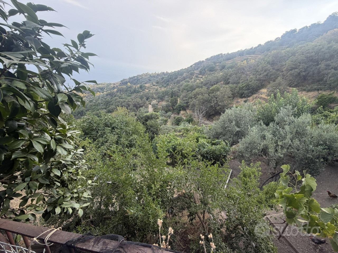 Terreno edificabile a Alì - Vista 4